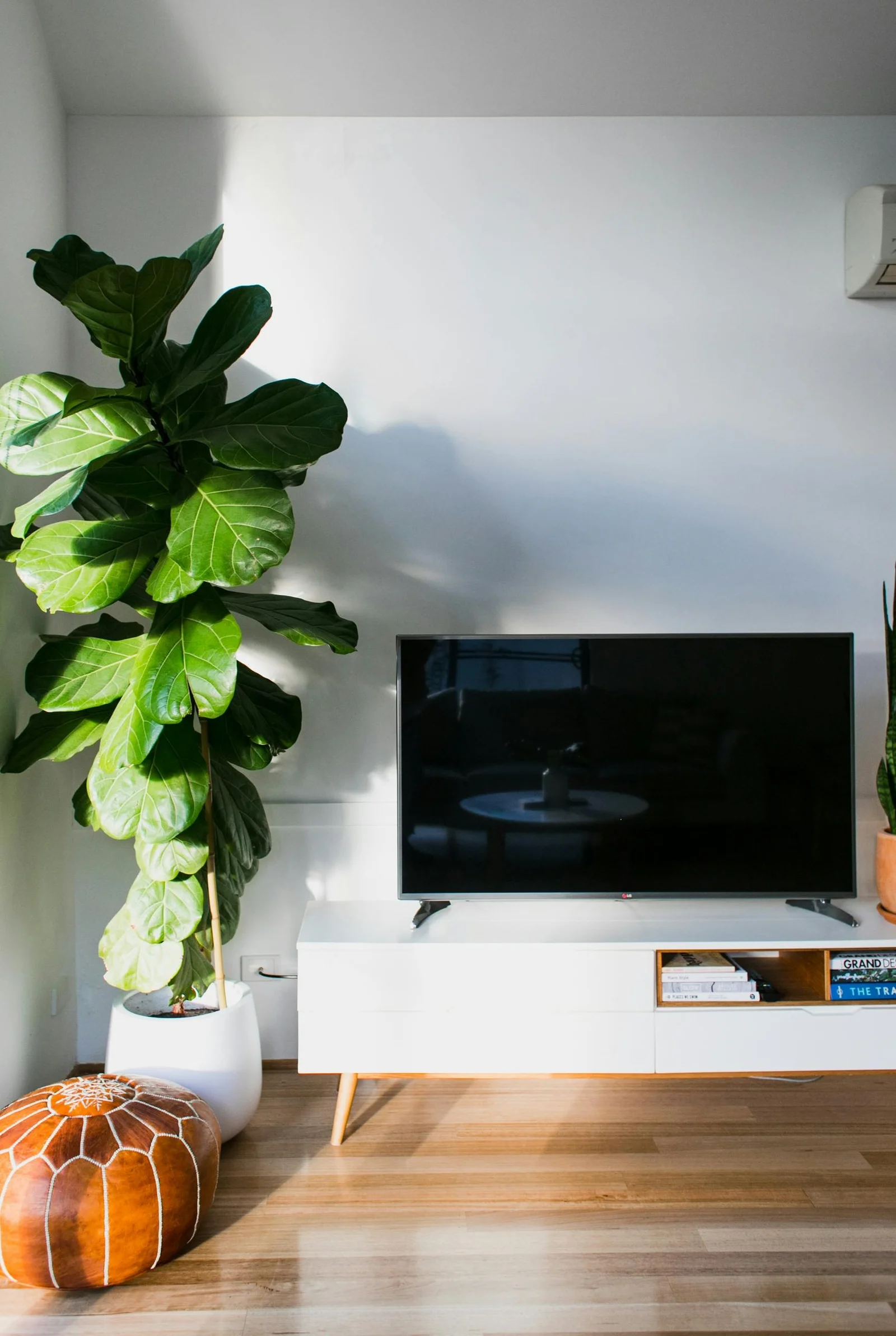 Salon lumineux avec un grand ficus, un meuble TV blanc sur pieds, un pouf en cuir et un parquet clair